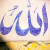 shah.shah588