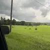 fjsnend