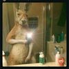 yetoilet1