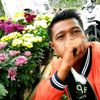 sulis.flowers.garden