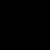saci252