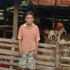 user97913452280458