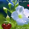 shehzadi.awan33