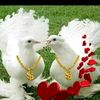 user2004555591797