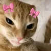 arnvslvna
