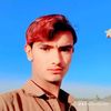 شیر حے ہے🥀🥀🌹🔥❤️