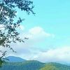 saliha_044
