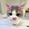 diva_aa17