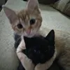 milanakillz0