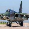 cu_25_grach