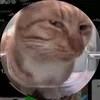 bs_rare9