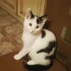 marinette.vilmin
