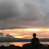 hndsmjam7