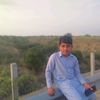 zainaliqaiarani66