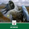 duan.giertl8