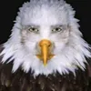 sus_edit7