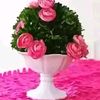 user8835401823791