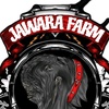 jawarafarm04