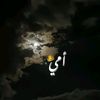 user5616701291277