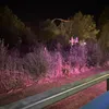 flux4r