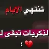 user55033627865053