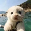 daotunglam55