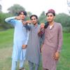 zeeshanbangush4