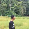 fianojamisan180