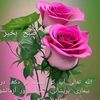 sabir.abbas089