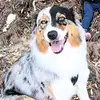 duquenoy.ac