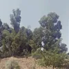 zakariamssoua