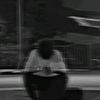 vannrid2008