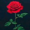 .yasiin.hasan