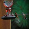 sunny_boy_333