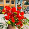 arafat.arman64