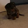 gbedderz