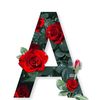 asgharjan510