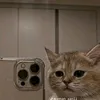 hsjudhdheh