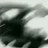 hosanagrzlly