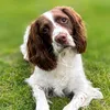 eddie9486