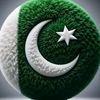 maazali893