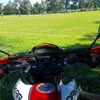 user7196254190419