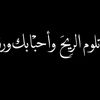 sabranjamil13