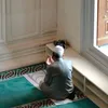 sara.mbw