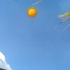 maria_patricia_55