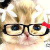 tabithark