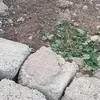awatakamkurdekurd