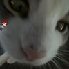 mrsbombastic3