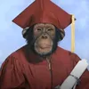 jaum_pedromz