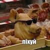 da_mne_pohuy28